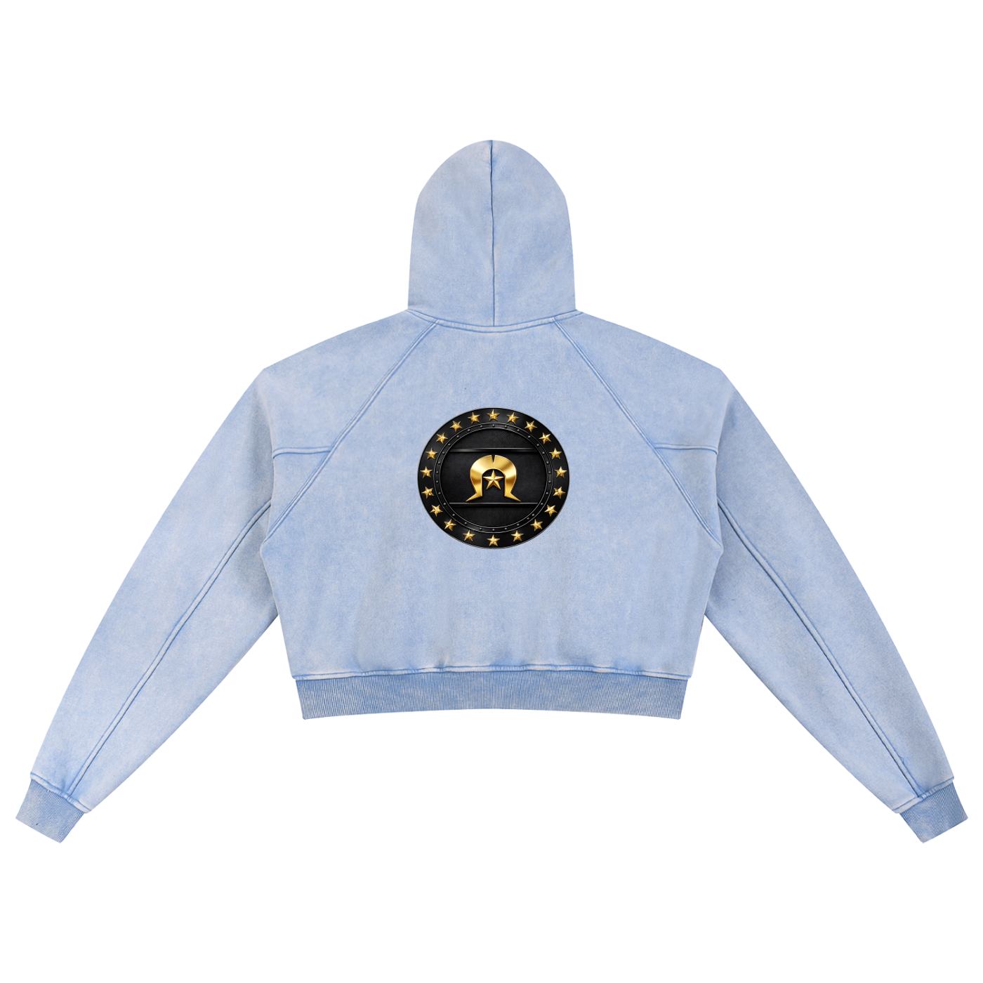 Snow Washed Cropped Hoodie