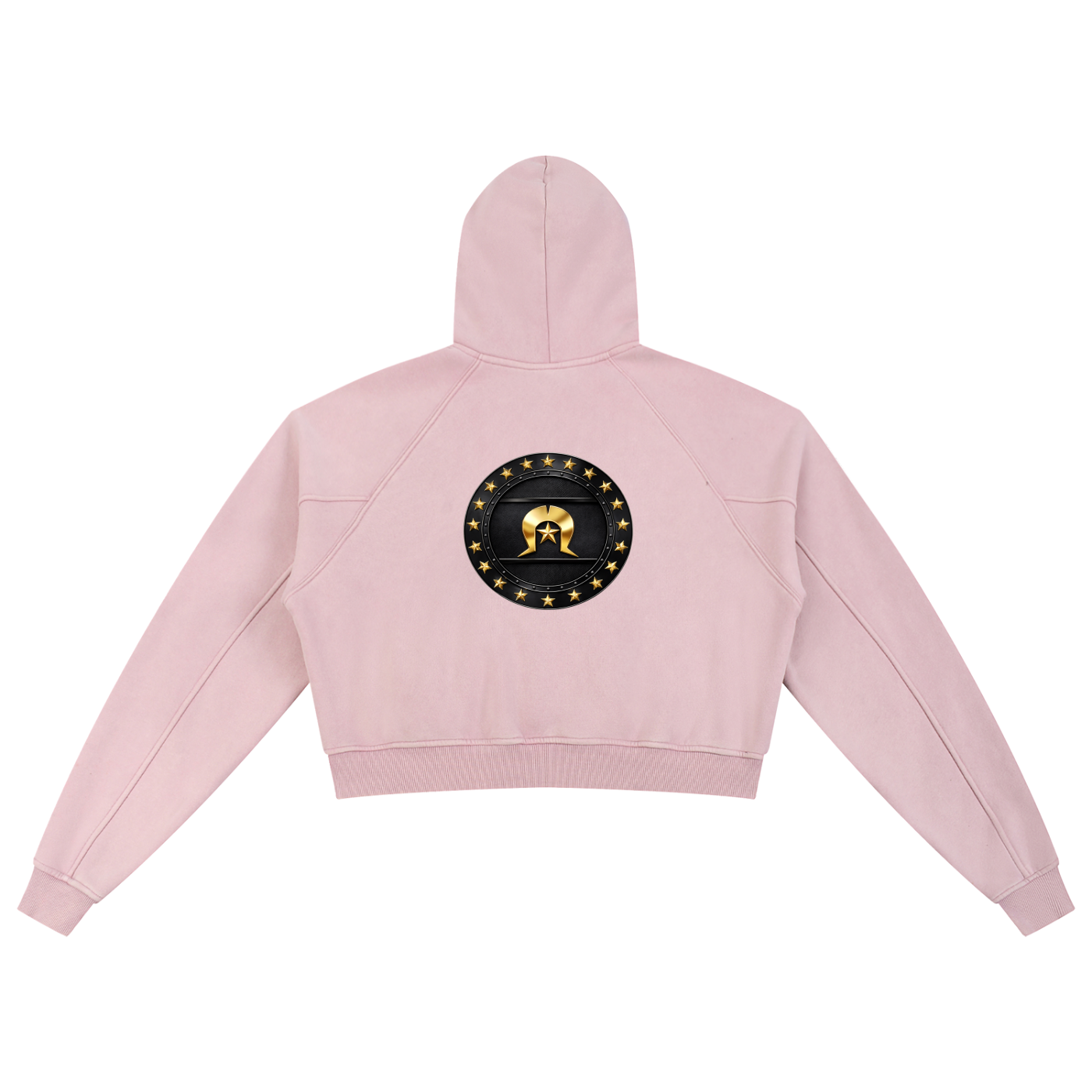 Snow Washed Cropped Hoodie