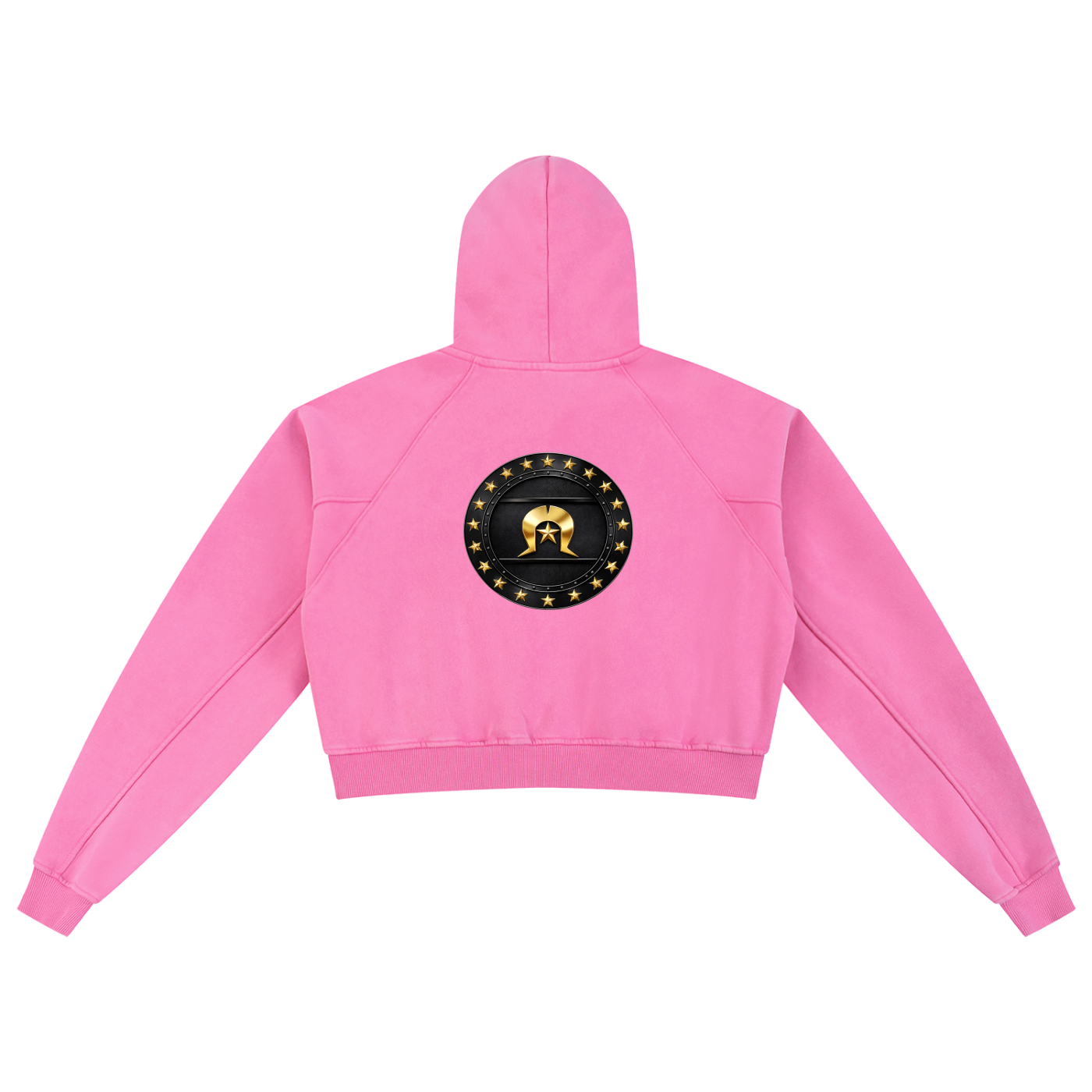 Snow Washed Cropped Hoodie