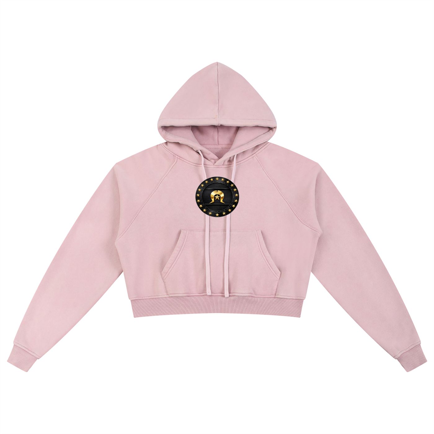 Snow Washed Cropped Hoodie