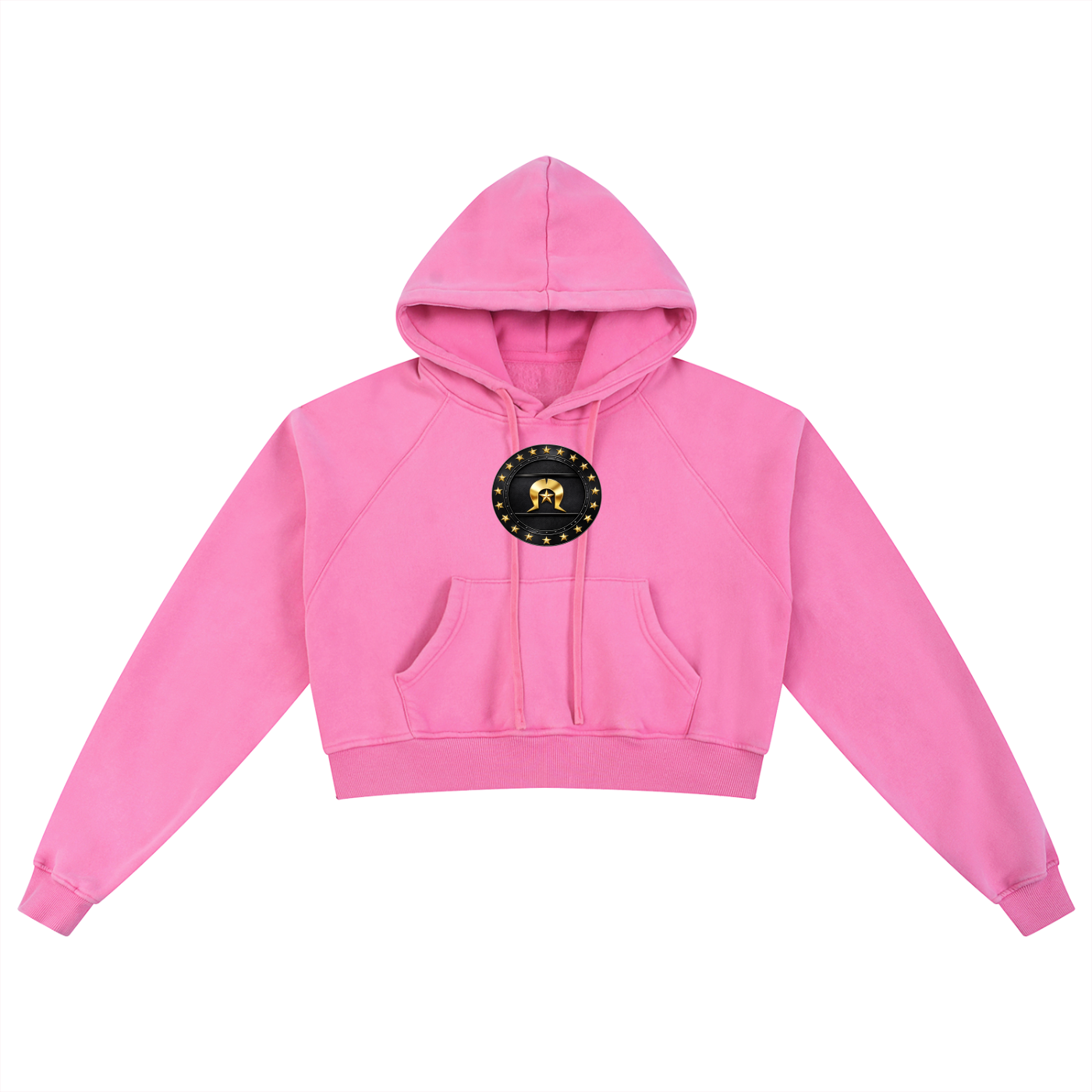 Snow Washed Cropped Hoodie